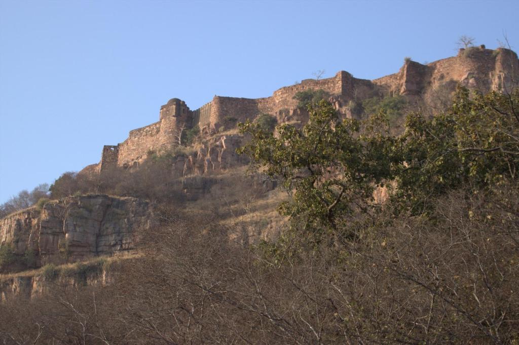 Green View Bed and Breakfast Sawai Madhopur Exterior foto